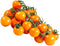 HipGirl 10ct Sweet Orange Sun Gold Cherry Tomato Seeds for Planting.Non GMO Garden