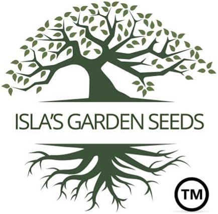 50 Summer Contender Bush Bean Seeds (Phaseolus vulgaris) Non-GMO Heirloom Seeds by Islas Garden Seeds, Early-Maturing
