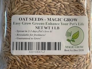 Oat Seeds Magic Grow 1 Lb (3000+ Oat Seeds Seeds)- Cat,Dog,Pets- Oat Grass Seeds