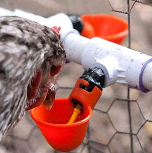 DoubleWood (24) Fully Automatic Poultry Drinking Machine Chicken Drinking Cup, Chicken Drinking Watering Cups/Poultry