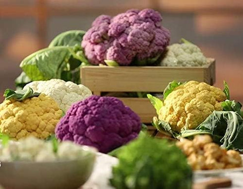 NIKA SEEDS 200 Seeds Vegetable Cauliflower Cabbage Mix - Seeds