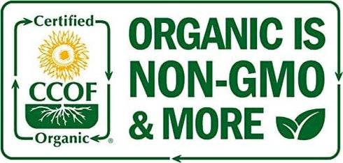 75, Organic Tomato Seeds, APPR. Gold Nugget Cherry Tomato, Heirloom Vegetable Seeds, Certified Organic, Non GMO, Non