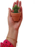 Succulent Candles, Novelty Cactus Tealight Candle Decorations for Baby Shower Party Favors, Terrarium Cacti Home Decor