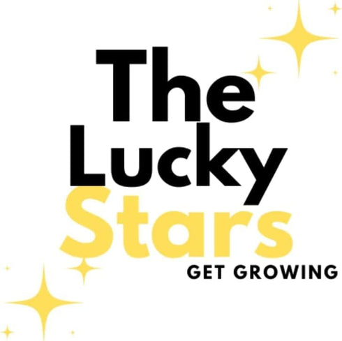 The Lucky Stars 5000 Crab Claw Seeds - Rau Cang Cua - Herb Peperomia Pellucida Pansit Pansitan Shiny Bush | Non GMO |