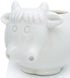 White Cow Ceramic Succulent Planter with Drainage Tray, Indoor Cow Stuff Pen Pencil Brush Holder Decor