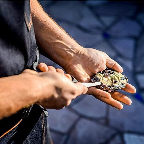 2-Pack 3.5 420 Set Set 2 Rockland Guard Oyster Shucking Knife - Heavy Duty Stainless Steel Shucker for Clams