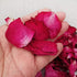 100 Grams Natural Real Red Rose Flower Petals Dried Rose Petals for Foot Bath Body Bath SPA Wedding Confetti Decoration