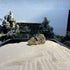 Zen Garden for Desk, Japanese Zen Garden Kit with Sand Stamp Sphere and Essential Accessories, Mini Zen Sandbox Office