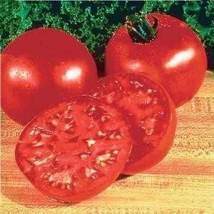 (2) 4"-8" 4 Inch Clovers Garden Big Boy Tomato Plants- Two Live Plants Non-GMO - Not Seeds Each Tall in Pots - Great