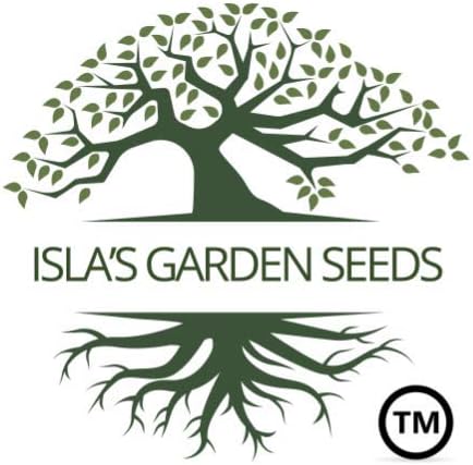 25 Aquadulce Fava Bean Seeds (Vicia faba) Non-GMO Heirloom Seeds by Islas Garden Seeds, Cold-Hardy Broad Bean for Fall