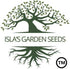 25 Aquadulce Fava Bean Seeds (Vicia faba) Non-GMO Heirloom Seeds by Islas Garden Seeds, Cold-Hardy Broad Bean for Fall
