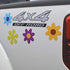 Set of 4 Bright Flower Pack Magnets by Magnet America, 9.5" x 7.875", for Vehicles and Refrigerators