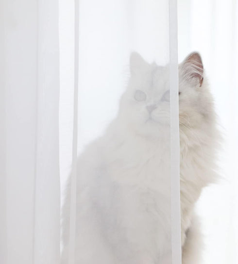 ABCHOME Sheer White Curtains, 84 Inches Long, 2 Panels, Available in 15 Colors for Bedroom, Living Room