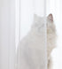 ABCHOME Sheer White Curtains, 84 Inches Long, 2 Panels, Available in 15 Colors for Bedroom, Living Room