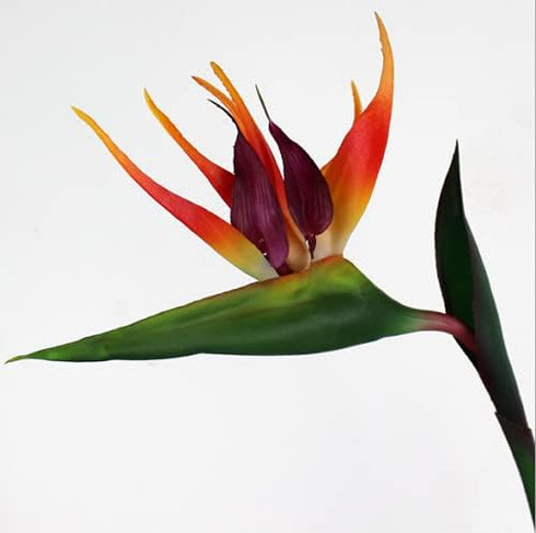 3 Pcs Large 32 Inch Bird of Paradise Permanent Flower, UV Resistant No Fade Soft Rubber PU Artificial Plants, Orange Red