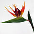 3 Pcs Large 32 Inch Bird of Paradise Permanent Flower, UV Resistant No Fade Soft Rubber PU Artificial Plants, Orange Red