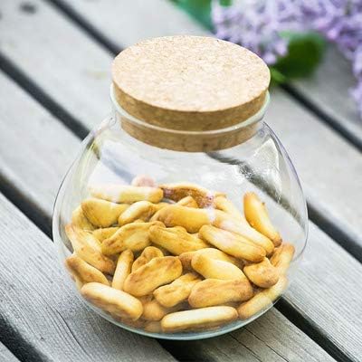 1PCS 500ML/17OZ Glass Favor Jars with Cork Lids, Transparent Round Food Storage Bottles for Kitchen