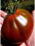 SeedsUA Seeds Tomato Black Truffle Vegetable Garden Heirloom for Planting Non GMO