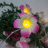 Lxcom Lighting Plumeria Flower String Lights 20LED Battery Powered Fairy Lights for Christmas Party Home Wedding