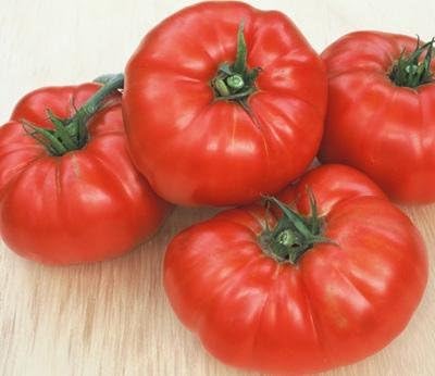 Seed Kingdom 8,000 Tomato Beefsteak Garden Heirloom Vegetable - Bulk Seeds