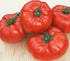 Seed Kingdom 8,000 Tomato Beefsteak Garden Heirloom Vegetable - Bulk Seeds