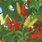 Seed Kingdom Pepper Hot Tabasco Great Heirloom Vegetable by Bulk 1,200 Seeds
