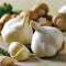 Snow Hill Organic Himalayan Garlic Bulbs Heirloom, Non-GMO, Naturally Small Size 15
