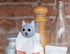 Kikkerland Cat Talking Bag Clip