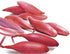 SeedsUA Seeds Red Shallot Onion Heirloom Vegetable for Planting Non GMO