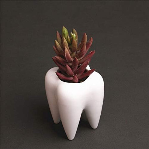 Cuteforyou Cute Cartoon Ceramic Succulent Pots, Pencil Holders, Desk Accessories, Makeup Brush Storage Stand (White
