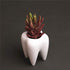 Cuteforyou Cute Cartoon Ceramic Succulent Pots, Pencil Holders, Desk Accessories, Makeup Brush Storage Stand (White