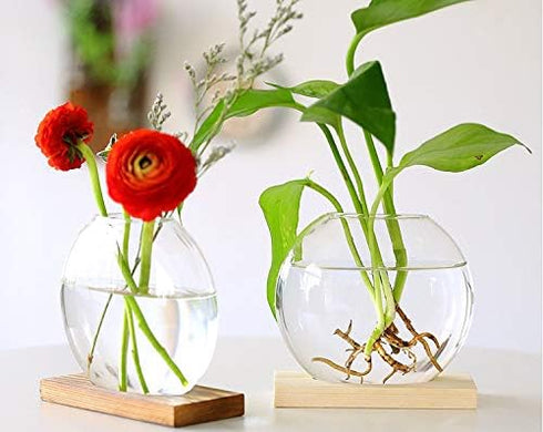 2-Pack, Kingbuy Round Glass Desktop Planter with Wooden Stand - Propagation Vase for Hydroponic Plants, Spider Plants