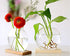 2-Pack, Kingbuy Round Glass Desktop Planter with Wooden Stand - Propagation Vase for Hydroponic Plants, Spider Plants