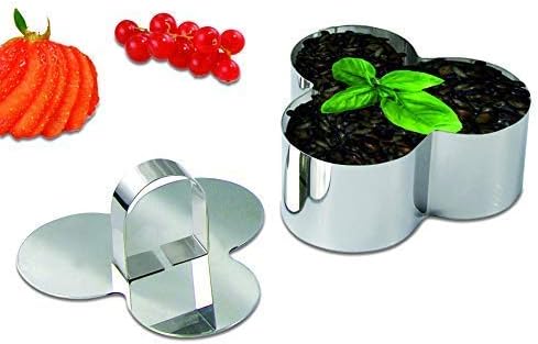 Newline NY Stainless Steel Dessert Rings, 4 Pcs, Plum Blossom Shape Molded for Starters and Appetizers