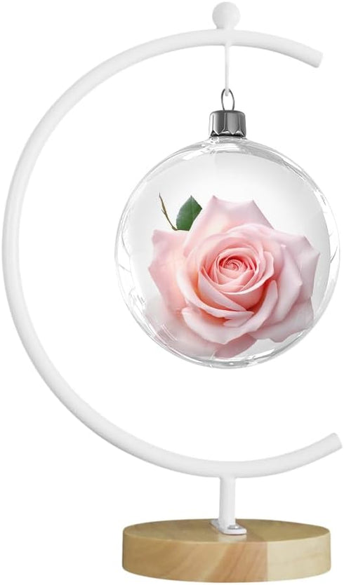 YY YEARCHY Large Metal Ornament Display Stand, Iron Pothook for Hanging Glass Terrarium Globe