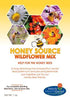 Wildflower Seeds Mix for Honey Bees 1oz - Premium Annual and Perennial Flower Seed Mix, Bulk Planting