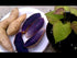 caribbeangardenseed Purple Sweet Potato AKA Okinawa, Hawaii Purple Potato, White Skin Plrple Flesh(1