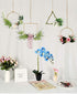 20" LED Blossom Orchid Flower Pot - Lighted Bonsai with 7 Real Touch Flowers and Battery Pot