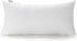 Acanva 1 Count Polyester Decorative Rectangle Throw Pillow Inserts, Hypoallergenic Form Stuffer Cushion, 16x26, White