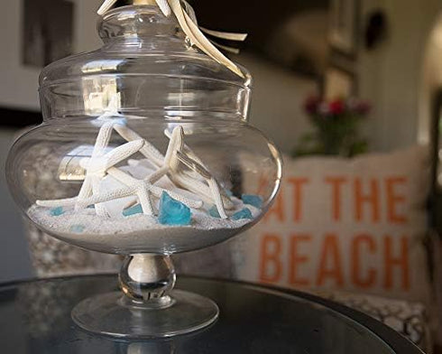 Tumbler Home Sand Dollars and Starfish for Crafts - 3 Real Starfish (4"-6") and 3 Sand Dollars (3"-3.5") in Bulk
