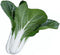 HipGirl Sow in Fall/Spring-4000+ Bok Choy Seeds for Sprouting,Chinese Cabbage Seed for Planting,Microgreen/Sprouting