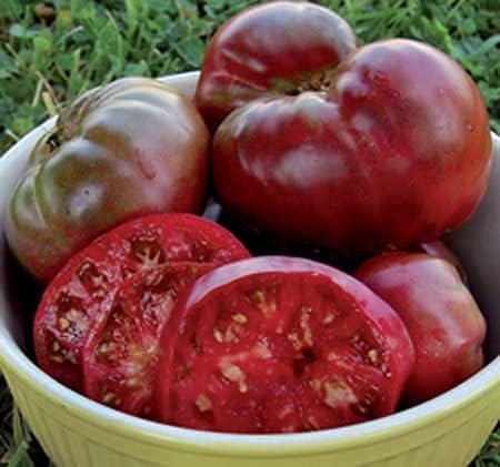 (2) 4" 8" 4" Inch Clovers Garden Black Krim Tomato Plants Two Live Plants Non-GMO - Not Seeds - Each to Tall in Pots