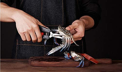 Criativo live Set 8 Seafood Scissors and Crab Crackers - Piece Stainless Steel Lobster and Crab Leg Tools with Forks