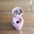 TIGER MMJ-A481-PB Mug Bottle - Peach Blossom, 16.9 fl oz (480 ml)