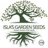 300+ Bulbs Red Shortday Burgundy Onion Seeds Heirloom Non-GMO Seeds by Islas Garden Seeds, Sweet Mild Burgundian