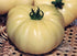 20 Seeds Giant White Tomato Great White Seeds for Planting