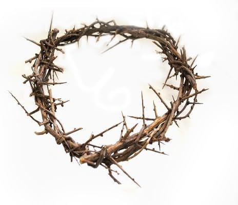 ZULUF Crown of Thorns Ornament, 7.5" from Bethlehem Jerusalem, Gift Boxed