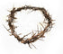 ZULUF Crown of Thorns Ornament, 7.5" from Bethlehem Jerusalem, Gift Boxed