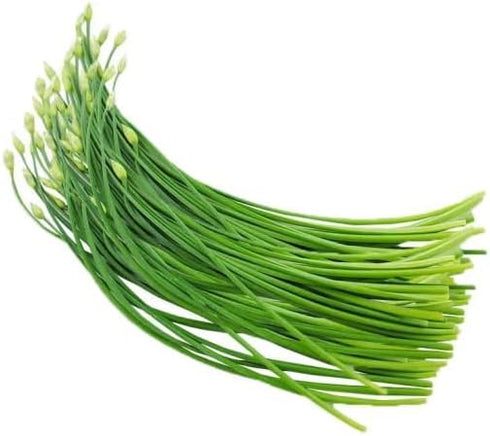 HipGirl 2026 Seed,1g Early Bird-Garlic Chive Seeds for Planting. Heirloom,Non-GMO.Vegetable Seeds for Planting, Herb