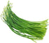 HipGirl 2026 Seed,1g Early Bird-Garlic Chive Seeds for Planting. Heirloom,Non-GMO.Vegetable Seeds for Planting, Herb